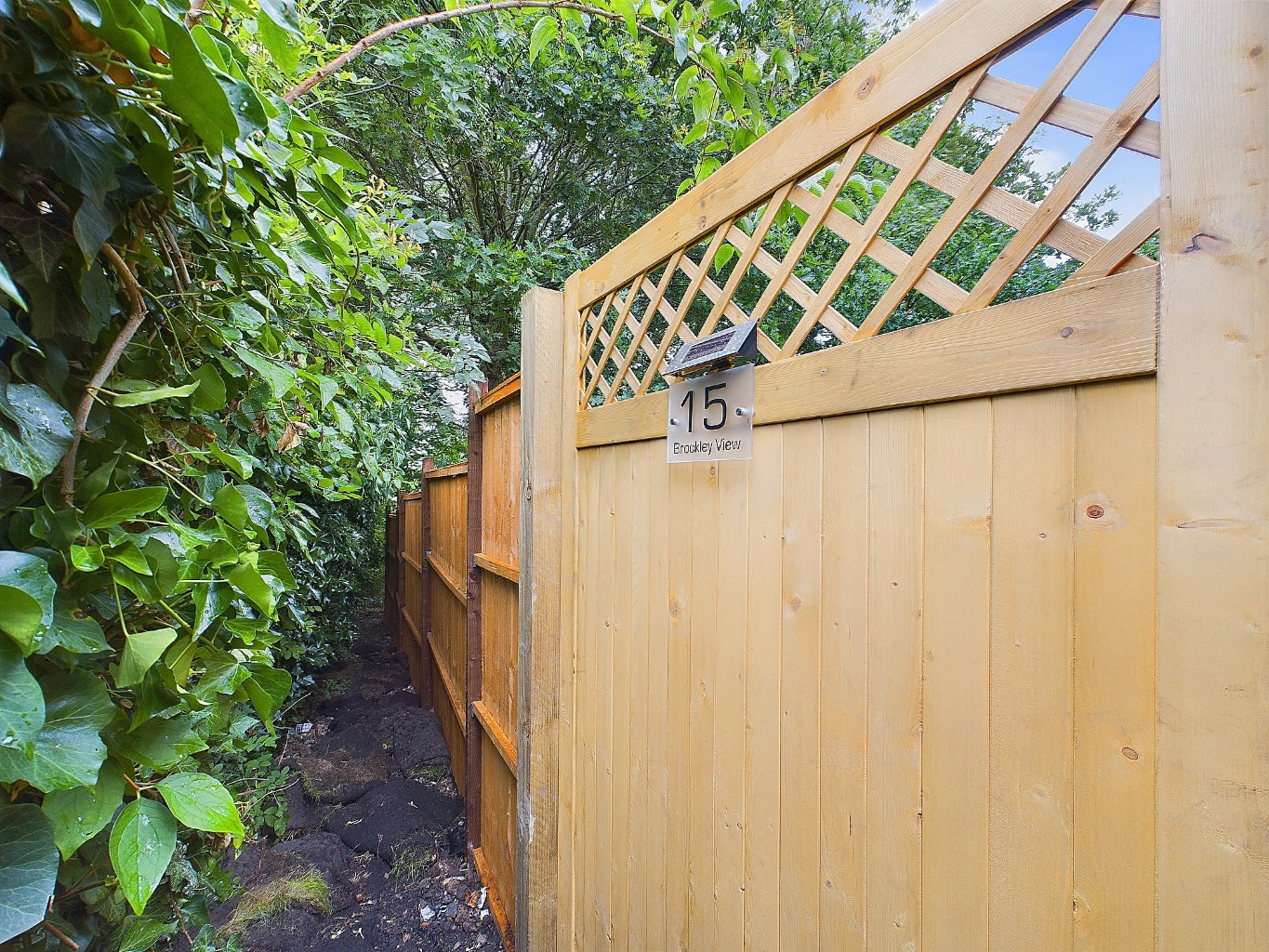 Property Image 17