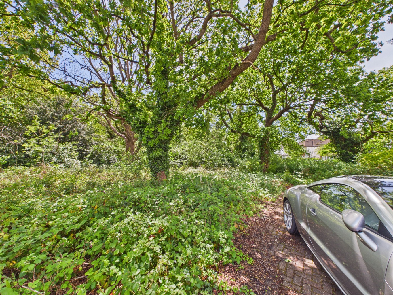 Property Image 31